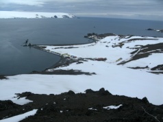 Ekstremalna trawa. Jak wiechlina roczna zmienia życie w Antarktyce