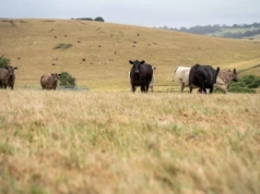 Do Mercosur dochodzi Australia. Ursula von der Leyen uda się tam w lutym
