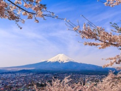 Odwołany festiwal pod górą Fuji