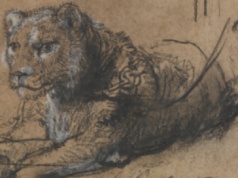 Szkic Rembrandta przedstawiający lwa sprzedany za rekordowe 17,86 mln dolarów