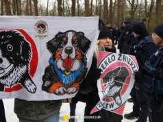 Wstrząsający raport o schronisku w Kuflewie. Jest zawiadomienie do prokuratury