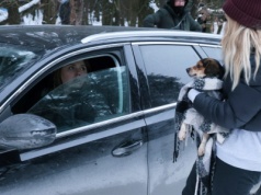 Zabrali psy z Sobolewa. Weterynarz uznał ich ośrodek za nielegalny