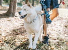 Średnia krajowa to fikcja. Oto ile naprawdę zarabiają Polacy i dlaczego GUS nie pokazuje pełnego obrazu