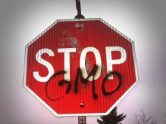 Ukraina uzyskała status kraju wolnego od GMO