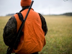 Gwałtowne hamowanie pociągu PKP Intercity! Na torach stali… myśliwi z bronią