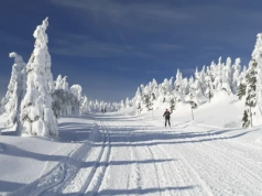 Polacy sprytnie oszczędzają na nartach. Nocleg w domu, stoki za granicą