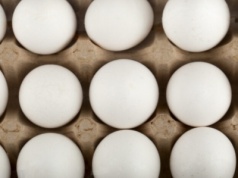 Częstochowski producent JAWO zrezygnował z jaj klatkowych