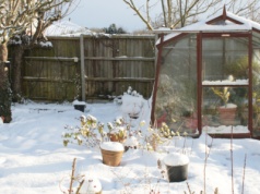 To zakazane zimą na działkach ROD. Łamanie zasad może skończyć się grzywną