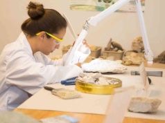 Organizm niepodobny do niczego na Ziemi. Myśleli, że to grzyby