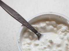 Wygryzł twaróg z lodówek. Dietetycy zachwyceni. Pomaga gubić kilogramy