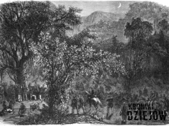 Mały kraj, wielka rzeź. Ta wojna zabiła 90% mężczyzn w tym państwie