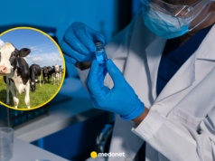 Dwa groźne wirusy odzwierzęce. Eksperci ostrzegają: możemy być nieprzygotowani na nową pandemię