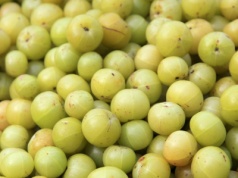 Indyjski agrest gwieździsty imponuje wpływem na zdrowie. Leczy i odmładza