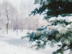 Kolejna fala mrozów. Temperatura odczuwalna spadnie do minus 30 stopni