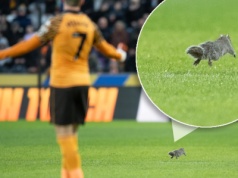 Nagle wbiegła na murawę. Mecz przerwano, a kibice dobrze się bawili