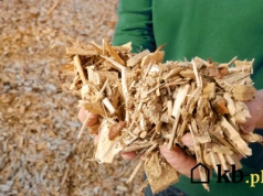 Przez ten błąd możesz unieruchomić piec na pellet w środku zimy. Naprawy bywają drogie