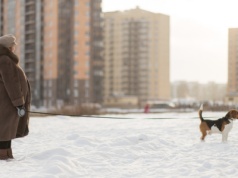 Odwilż odkrywa psie odchody, bo nie sprzątamy po swoich zwierzętach