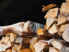 Polacy uzupełniają zapasy opału. Tyle trzeba teraz zapłacić za drewno