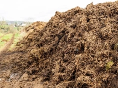 Obornik na skraju pola. Kiedy jest legalny, a kiedy grozi kara?