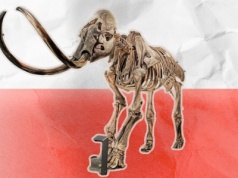 Polska nadal nie ma muzeum historii naturalnej. Czekamy na to ponad sto lat