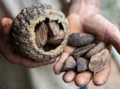 1 dziennie wystarczy. Polacy zajadają się radioaktywnym przysmakiem