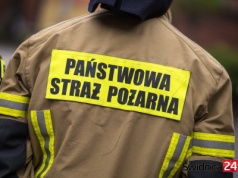 Gasili pożar samochodu