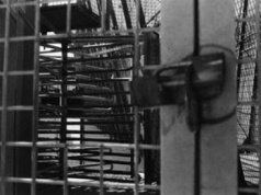 Bezimienne groby z pomarańczowej ziemi