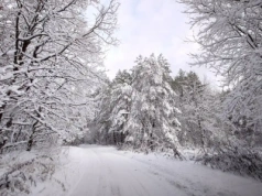 Nadchodzi silny mróz. Termometry wskażą nawet -19°C!
