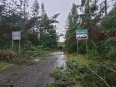 Przerażające świadectwo byłej żony Jacka Jaworka. Oskarża państwo