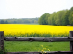 Ponad 6000 hektarów ziemi rolnej zmienia właściciela na Ukrainie. Kto kupuje a kto sprzedaje?