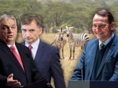 Zebry Orbana zniknęły? Sikorski sugeruję by Ziobro ich poszukał