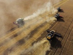 Polska wieś wrze. Na horyzoncie jest kryzys cen zboża. Rolnicy już grożą protestami