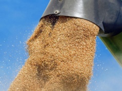 Rosyjski Łukoil chciał handlować zbożem. Amerykanie pokrzyżowali mu plany