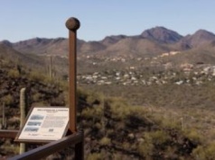 Jak będzie wyglądać świat za tysiąc lat? Chcą poznać odpowiedź