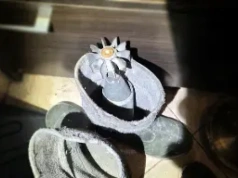 Pocisk moździerzowy w gumowcu. Niecodzienne odkrycie listonosza