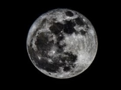 SpaceX zmienia priorytety. Zamiast kolonizacji Marsa – 