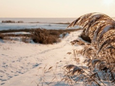 Lód zamiast asfaltu. Otwarto drogę po zamarzniętym Bałtyku