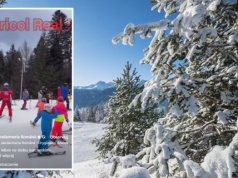 Na rumuńskim stoku pełnym narciarzy pojawił się niedźwiedź. Wszystko nagrali