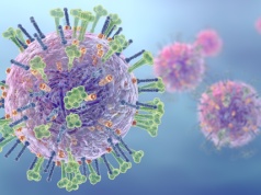 Piraci na powierzchni błon komórkowych. Jak atakują wirusy grypy