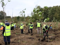 Ponad 5 milionów złotych na „zielone” zmiany w Piotrkowie