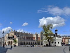 Gorąco wokół referendum w Krakowie. Organizatorzy zgłosili do prokuratury ataki na wolontariuszy