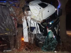 3 promile w niedzielny wieczór, tym razem już na drodze, a nawet na drzewie