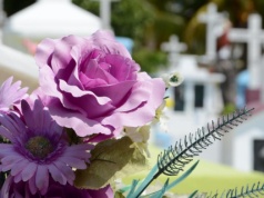 Spadek, ZUS, bank. Jak odzyskać pieniądze po zmarłym? Wyjaśniamy