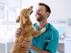 Obowiązek czipowania zwierząt coraz bliżej. Zapłacisz, ale nie tak dużo jak myślisz