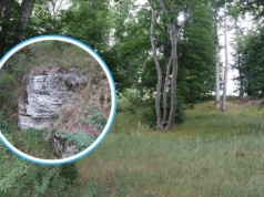 Nowy rezerwat w województwie opolskim. „Unikat w skali kraju”