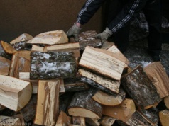 Jak przechowywać drewno? To najczęstsze błędy - przez nie jest wilgotne