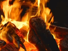 To jedno drewno potrafi oczyścić komin – rozpal nim w połowie sezonu