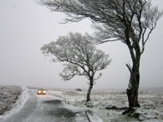 Najpierw siarczysty mróz, potem niemal wiosna. Trudny tydzień przed nami