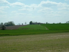 Zakup ziemi rolnej na licytacji a podatek rolny – czy przysługuje zwolnienie?