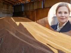 Eksport zbóż i ryzyko Mercosur. 